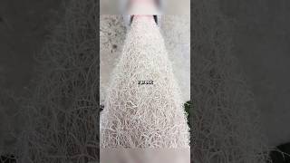 Rare Photos You've Never Seen Before [Part 225]