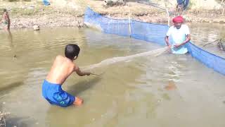 শতর সজন ১ এর ছটট একট মছ ধরর দশয গরমর অথনটক পরব ১