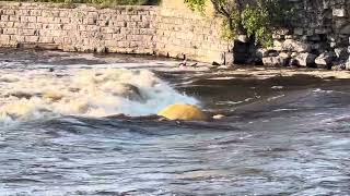 Black River rapids in Watertown NY