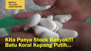 Analisa bahan dan biaya batu koral sikat. 