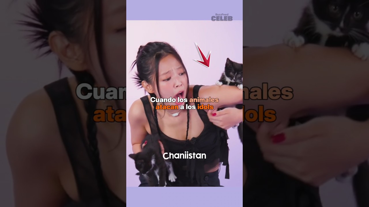 Cuando los animales atacan a los idols 