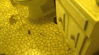 Sewage Cleanup Removal San Diego- Part 2