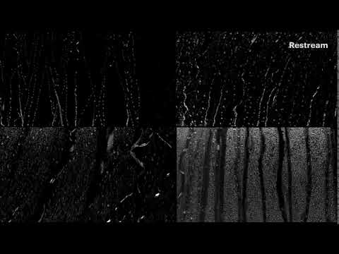 Heavy Rain at Night to Sleep Immediately, Beat Insomnia, Study, Relax, Block Noise  247 Raining