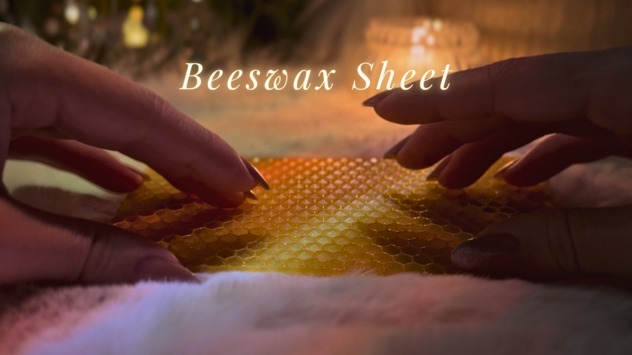 ASMR Beeswax Sheet🐝 Tapping and Scratching✨(No talking,No mouth sounds)