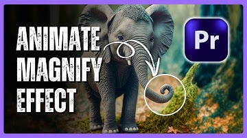 How to Animate a Magnify Effect in Premiere Pro