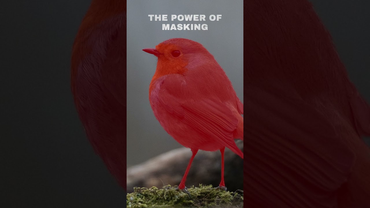 The Power Of Masking