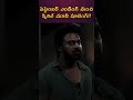 సెప్టెంబర్ ఎండింగ్ నుంచిస్పిరిట్ మూవీ షూటింగ్!! #prabhas #sandeepreddyvanga #trending #spirit