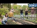 Urban farming  grtnern frs klima  erlebnis hessen  doku
