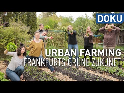 Video: Island Bed Garden Design: Wie man ein Inselblumenbeet herstellt - Know-how für die Gartenarbeit