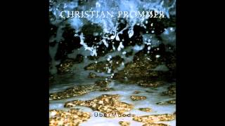 Christian Prommer - Unusual Habit