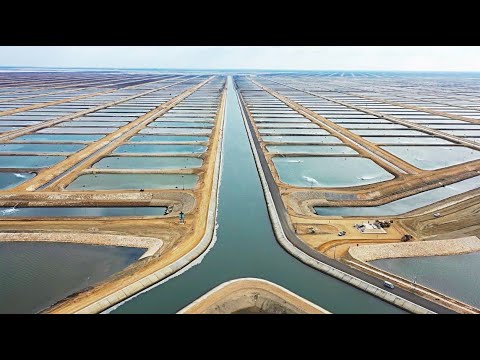 Video: L'installatore di finestre in PVC è una delle professioni più ricercate