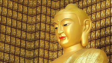 [TRỰC TIẾP] TRÌ TỤNG KINH "SỐNG CHUNG HÒA HỢP VÀ HÒA GIẢI" ONLINE, PHÁT KHỞI TÂM ĐẠI TỪ ĐẠI BI.