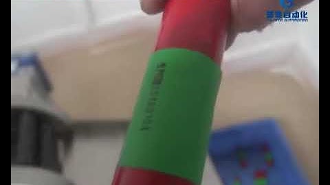 Ham sausage wrapping and labeling machine with coding and auto feeding 219b-Judy