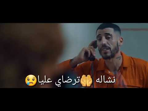 فيديو: من أين نشأت مومو؟