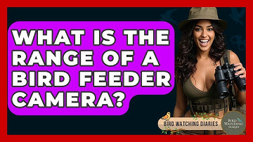 What Is The Range Of A Bird Feeder Camera? - Bird Watching Diaries