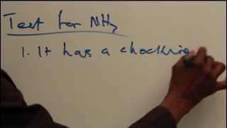 TEST FOR AMMONIA