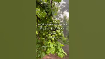 #quran #اكسبلور #قرآن #لايك #تلاوة_خاشعة #راحة_نفسية #تيك_توك #duet #حالات_واتس #ترند