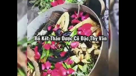 Những lợi ích của nước gội bồ kết thảo dược cô đặc Thy Vân trị rụng tóc, trị gàu và nấm ngứa hiệu qu