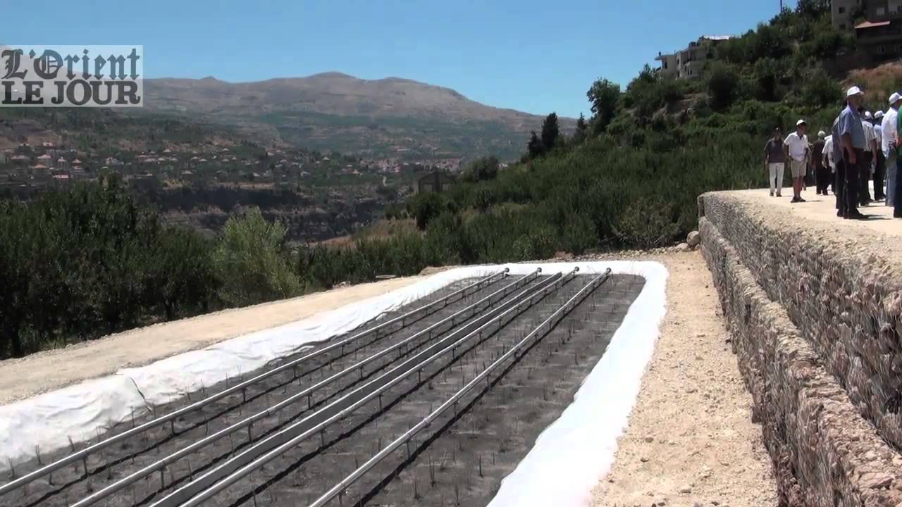 Liban - Des roseaux pour filtrer les eaux usées - L'Orient-Le Jour