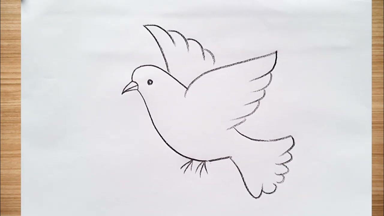 how to draw flying bird drawing easy step by stepDrawingTalent YouTube