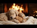 🐾 Deep Sleep Dog Music 💤 Separation Anxiety Relief for Calm & Happy Dogs