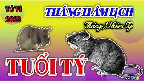 Tử Vi Tháng 11 Âm Lịch Năm 2022 của TUỔI TÝ ‎‎‎ @Luangiai12congiap