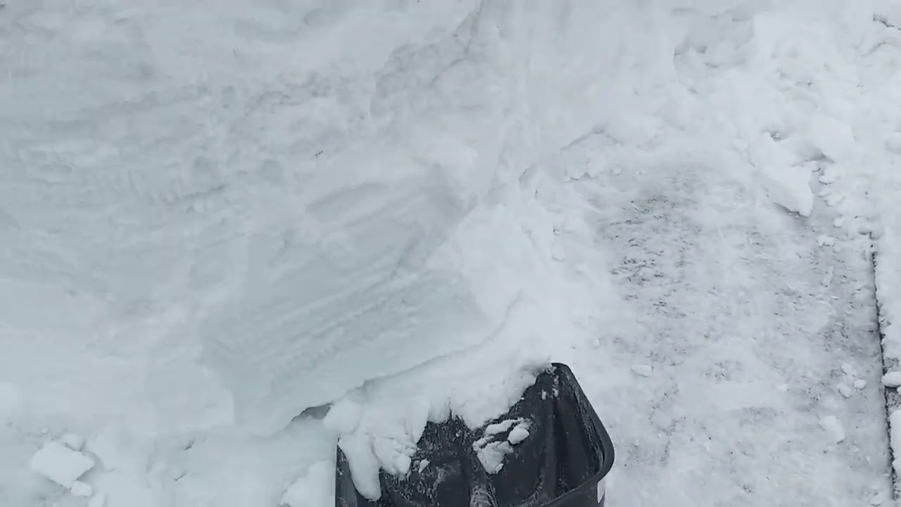 СРЕДА. | ⟨11.02.2026⟩ | 