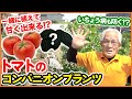 4月中に覚えたいトマトを甘くする裏技！？バジルを一緒に植えて美味しさ倍増の混植栽培！夏野菜・苗の植え付けが楽しくなる方法【家庭菜園】【コンパニオンプランツ】【萎凋病】【ネギ】【ニラ】