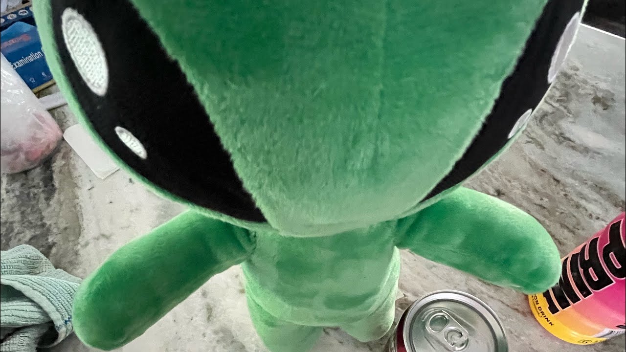 WHAT TO DO WHEN YOU GET AN IKEA ALIEN!👽