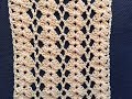 Crochet Lace Shell Stitch Tutorial~ Great for Blouse, Summer Scarf
