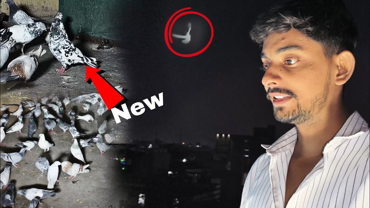 Racer 🕊️ !! Ye To Raat Me Bhi Udd Raha He 🔥