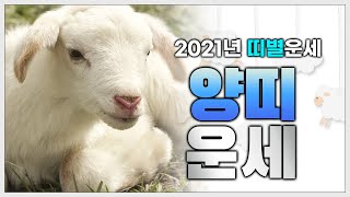 2021년 양띠운세 종합정리 [ 91년생 79년생 67년생 55년생 ] 조금씩 좋아지는 것이 보인다..?!