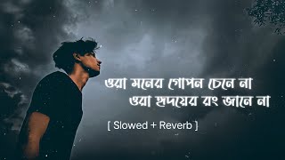 Hridoyer Rong || Lyrics Song || Slowed & Reverb || মনের গোপন চেনে না