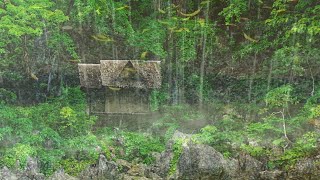 Tropical rainforest Home with thunderstorm, heavy rain and whistling wind with lovely birds singing