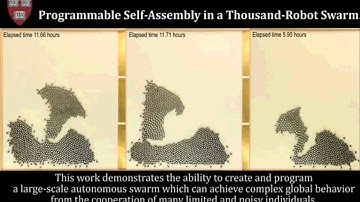 Self-assembly of thousand little robots "Kilobots" to form complex shapes.