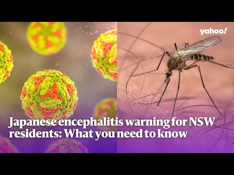 Japanese encephalitis warning for NSW residents: What you need to know | Yahoo Australia