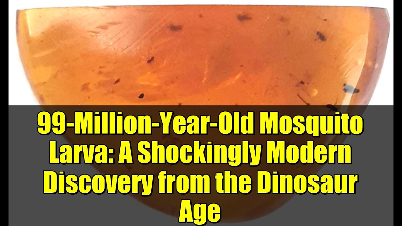 99-Million-Year-Old Mosquito Larva: A Shockingly Modern Discovery from the Dinosaur Age