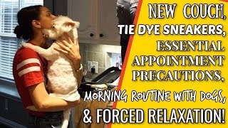 VLOG | Morning routine with FOUR dogs, tie dye sneakers, and new couch!