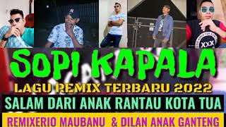 Download Lagu Remix Terbaru Sopi Kepal 2021 MP3