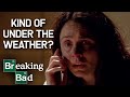 Lydia's Fate | COMPILATION | Breaking Bad