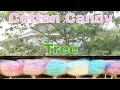 Cotton Candy Tree!!
