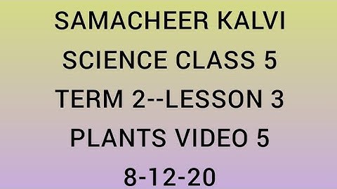 SAMACHEER KALVI | TERM 2 | SCIENCE | CLASS 5 | LESSON 3 | PLANTS | VIDEO 5 | 8.12.20