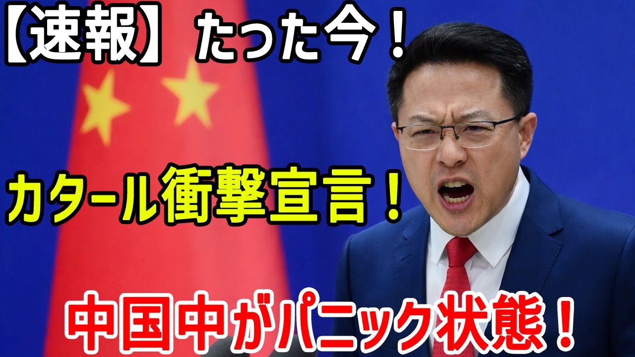 安い中国製100隻を選んだカタールが後悔！最終的に日本の前に屈する結果となった本当のワケ