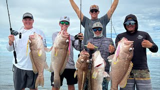 Grouper mania in Venice! screenshot 5