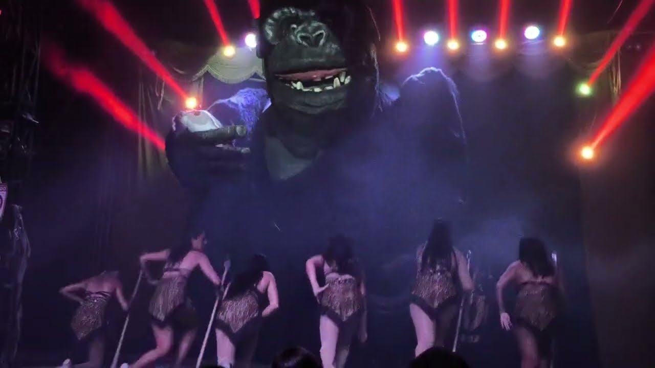 O espetáculo do grande king kong no Circo Incaros em Boca da Mata/ AL 2024