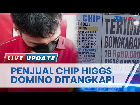 4 Penjual dan Pembeli Chip Higgs Domino di Bengkulu Ditangkap, akankah Semua Pemain Ditangkap?