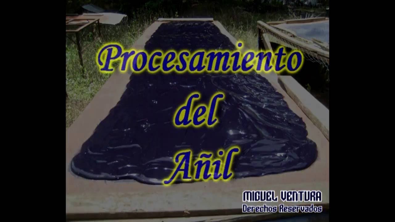 PROCESAMIENTO DE AÑIL- EL SALVADOR