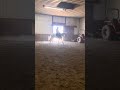 GOOOD BOY #equestrianjourney #equestrian #horse #relatable #cutehorse #horsegirl #pony