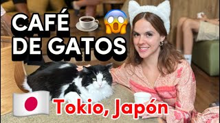 Cómo Es Un Café De Gatos? Tokyo, Japón