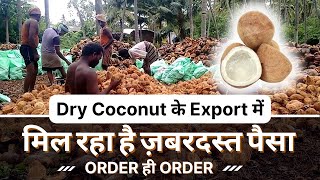 How To Export Dry Coconut From India| Copra Export From India |Coconut Export कैसे करें?Copra Export screenshot 3